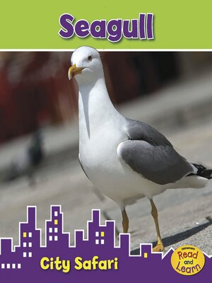 cover image of Seagull